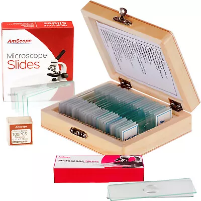Buy AmScope 25 Prepared, 72 Pre-Cleaned, 12 Single Concave Slides And 100 Coverslips • 45.99$