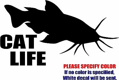 Buy Cat Life Catfish Fishing Graphic Die Cut Decal Sticker Car Truck Boat Window 7  • 5.99$
