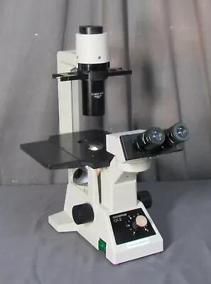 Buy Olympus CK2 Inverted Phase Contrast Microscope With 3 Objectives • 695$