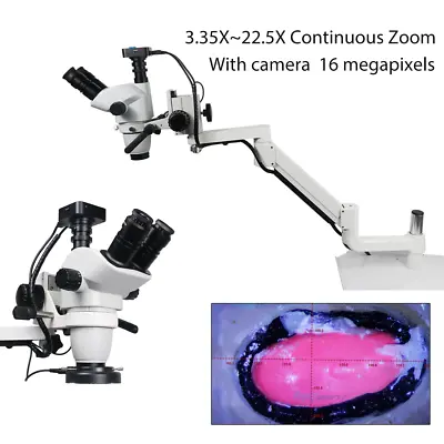 Buy Dental Chair Operating Microscope With Camera 5W LED Light Endodontic Microscope • 1,699.45$