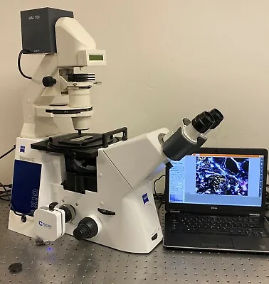 Buy Zeiss Axio Observer A1  Phase Contrast Inverted Microscope • 12,250$