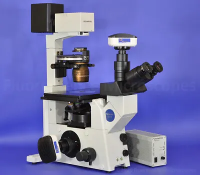 Buy Olympus IX71 Inverted Hoffman Modulation Contrast HMC Microscope • 11,900$