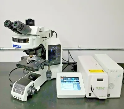 Buy Olympus Microscope BX63 Fluorescence For FISH • 24,995$