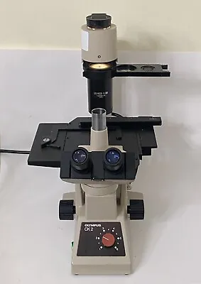 Buy Olympus CK 2 Inverted Phase Contrast Trinocular  Microscope • 999$