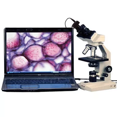 Buy AmScope 40X-1000X Veterinary Compound Binocular Microscope + 5MP Digital Camera • 326.99$
