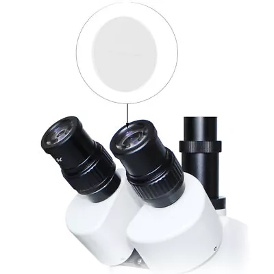 Buy Diameter 19mm Microscopic Ocular Micrometer Objective Micrometer 0.1mm • 14.85$