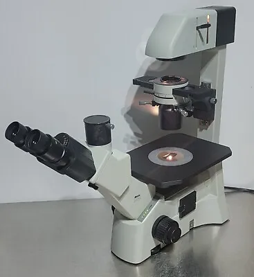 Buy Motic AE31 Inverted Phase Contrast Tissue Culture Microscope • 999.20$
