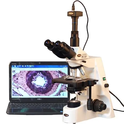 Buy AmScope 40X-2500X Infinity Plan Research Compound Microscope + 8MP Camera • 1,101.99$