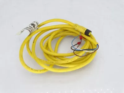 Buy Allen Bradley 889p-f4ab-2 Series A Cable • 22.99$
