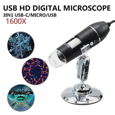 Buy Adjustable 1600X USB Digital Electronic Microscope Camera Endoscope 8LED W/Stand • 19.99$