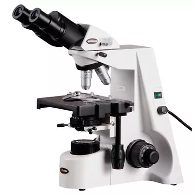 Buy AmScope 40X-2000X Binocular Compound Microscope W Halogen Kohler Illumination • 565.99$