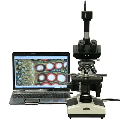 Buy AmScope 40X-2500X Doctor Veterinary Clinic Compound Microscope + 1.3MP Camera • 468.99$