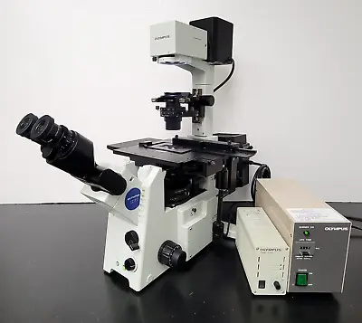 Buy Olympus Microscope IX71 With Fluorites, Phase Contrast, And Fluorescence • 11,950$
