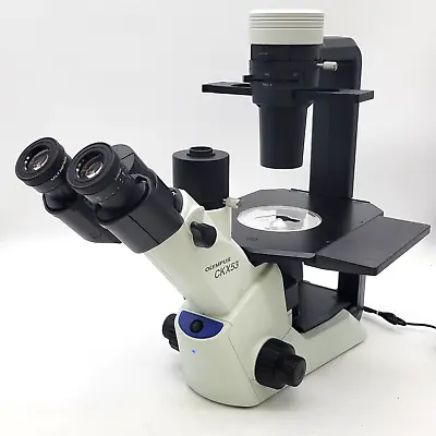 Buy Olympus Microscope CKX53 Inverted With Phase Contrast And IPC Objectives • 4,950$
