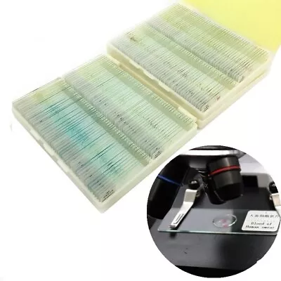 Buy 12-200Pcs Microscope Slides Glass Prepared Human Tissue Biological Specimen • 6.01$