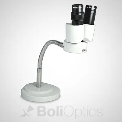 Buy 8X Binocular Stereo Microscope 360 Rotatable Gooseneck Arm, Dental, Electronics • 99.98$