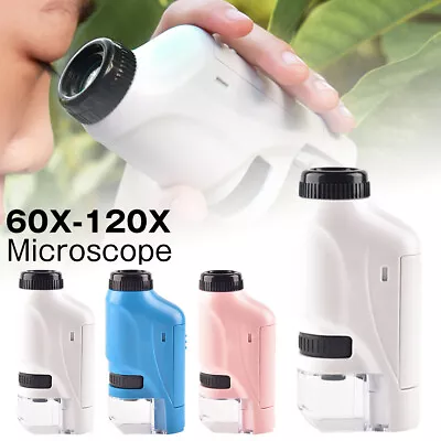 Buy 60-120x Electric Mini Pocket Microscope With LED Light Children TuEcP • 12.59$