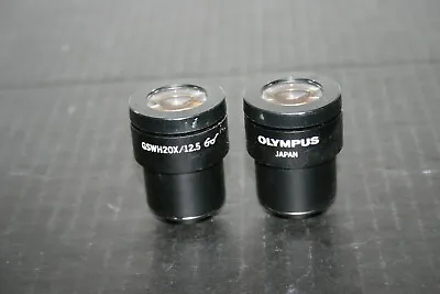 Buy Olympus GSWH20X/12.5 Eyepieces To Fit Olympus, Nikon Stereozoom Microscopes • 99$