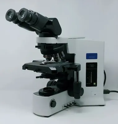 Buy Olympus Microscope BX51 With Fluorites And Tilting Binocular Head • 8,950$