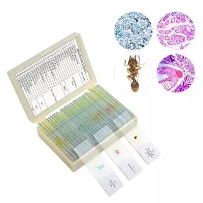 Buy 30 Microscope Slides With Specimens For Kids, Prepared Microscope Slides For  • 32.54$