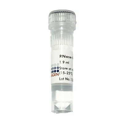Buy Qiagen™ RNASE Free Pure Water PCR Molecular Biology 1.9mL Vial (UK) Lab 1020461 • 15.47$