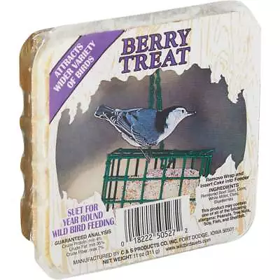 Buy C&S 11 Oz. Berry Treat Wild Bird Suet 100214302 Pack Of 12 C&S 100214302 • 22.21$