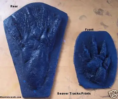 Buy CONCRETE CEMENT STAMP Beaver Tracks/print Boarder Art Animal Texture Imprint • 8$