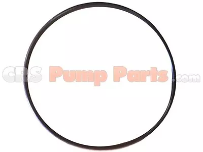 Buy Concrete Trailer Pump Parts Putzmeister O-Ring (170 X 5) U233925004 • 2.88$