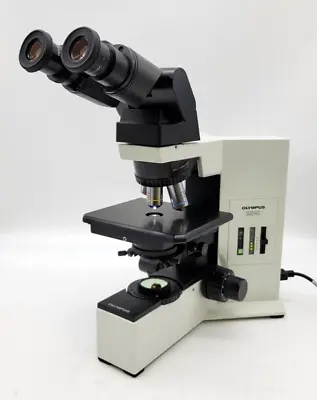Buy Olympus Microscope BX40 With Fixed Stage, Tilting Head, & 4x 10x 40x Objectives • 2,250$