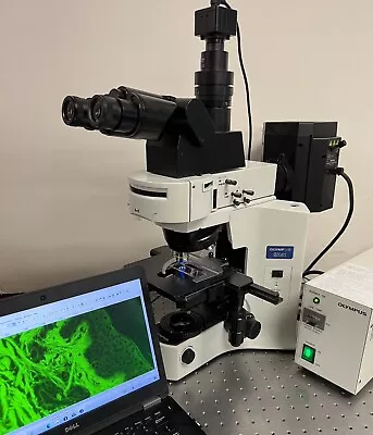Buy Olympus BX41 ERGO Fluorescence Microscope Trinocular With 5MP Camera System • 7,850$
