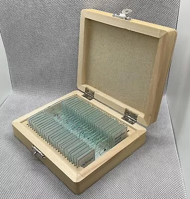 Buy AmScope 24 Prepared Specimen Microscope Slides Glass With Wooden Box Educational • 12.58$