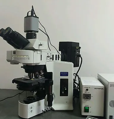 Buy Olympus Microscope BX61 Phase Contrast • 13,950$
