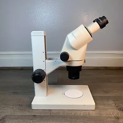 Buy Zeiss Stemi 1000 Stereo Microscope , 7x - 35x • 1,149.95$