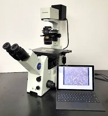 Buy Olympus Microscope IX71 With HMC Hoffman Modulation Contrast • 12,950$