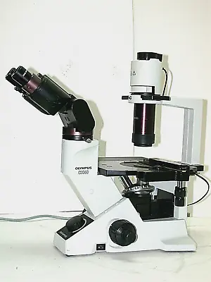 Buy OLYMPUS CK40-F100 Inverted Microscope:HOFFMAN MODULATION (IMC),POL,BRIGHTFIELD. • 1,749$