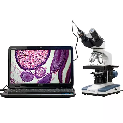 Buy AmScope 40X-2500X LED Digital Binocular Compound Microscope,3D Stage, 5MP Camera • 341.99$