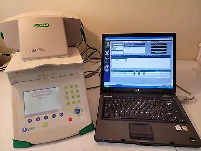 Buy Bio Rad MyIQ PCR Thermocycler 582BR ICycler And 576BR Optical Module • 3,399$