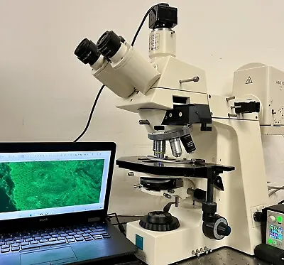 Buy Zeiss Axioplan Universal LED Fluorescence Microscope 5MP Cam Laptop • 7,350$