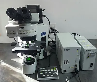 Buy Olympus Microscope BX61 FISH Fluorescence In Situ Hybridization • 15,255$