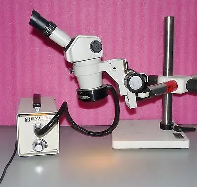 Buy Nikon Smz-1b Stereoscopic Microscope With Two 10x/21 Eyepieces • 1,349.99$