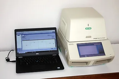 Buy Bio-Rad C1000 Touch PCR Thermal Cycler With CFX384 Real Time Module And Laptop • 4,250$