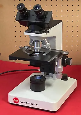 Buy Leitz Laborlux 11 Binocular Microscope With EF 10x 40x 100x • 300$