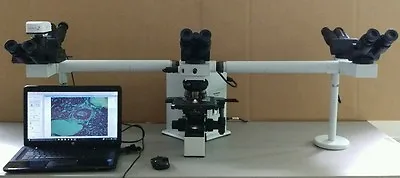 Buy Olympus Microscope BX50 Teaching Multihead With Apos • 17,950$