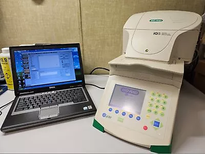Buy Bio-Rad ICycler IQ5 Multicolor Real Time PCR Detection System, Laptop, Software • 7,649.15$