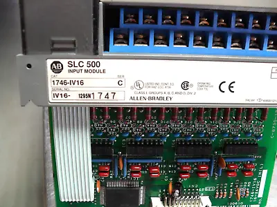 Buy 1746-IV16 Allen Bradley SLC 500 Input Module  Series C • 8$