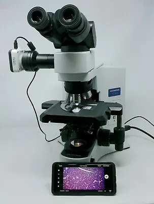 Buy Olympus Microscope BX41 With 2x And Camera • 5,950$