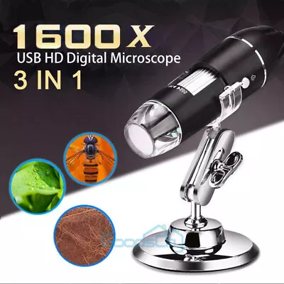 Buy 40X-1600X 8 LED Digital Microscope Camera Handheld USB Magnification Endoscope • 25.85$