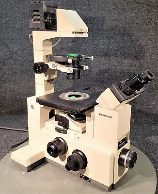 Buy Olympus IMT-2 Inverted Microscope W/ ULWCD 0.30 Phase Contrast • 599.99$