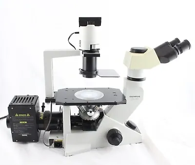 Buy Olympus CKX41 Inverted Phase Contrast Trinocular Microscope 4x 10x 20x 40x • 2,999.99$