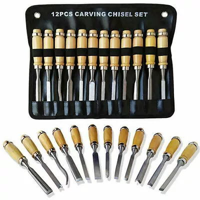 Buy 12PCS Professional Woodworking Carving Set Woodworking Lathe Planing Tools • 24.43$